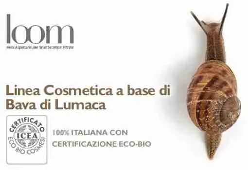 Loom Contorno Occhi Bioearth Creme Contour Yeux idratante antirughe anti borse e anti occhiaie con il 78% di Bava di Lumaca e Acido Ialuronico, Biologica Ecologica Vegetariana Cruelty Free 30ml - immagine 3