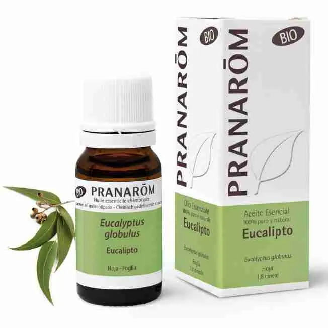 Olio essenziale Eucalipto Pranarom Globulus Biologico Chemiotipizzato Eucalypto globulus foglia 10ml