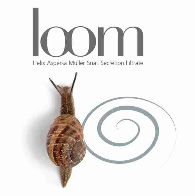 Loom Contorno Occhi Bioearth Creme Contour Yeux idratante antirughe anti borse e anti occhiaie con il 78% di Bava di Lumaca e Acido Ialuronico, Biologica Ecologica Vegetariana Cruelty Free 30ml - immagine 5